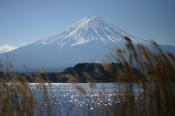 河口湖大石公園から眺める富士山の風景