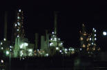 夜のプラント工場